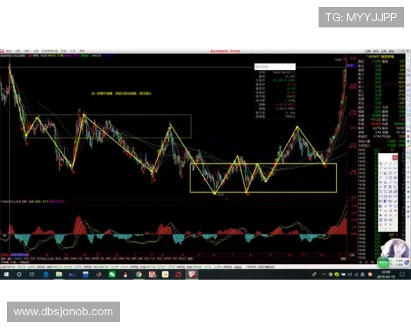 新人如何快速掌握PA电投厅的使用技巧，实现资金高效运作