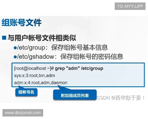 如何快速找到可靠的AG登陆地址，确保账号安全与顺畅登录体验