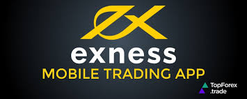 Discovering the Secure Exness Platform Safety First in Online Trading