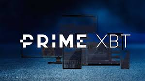 Exploring the PrimeXBT Info Hub Your Gateway to Successful Trading