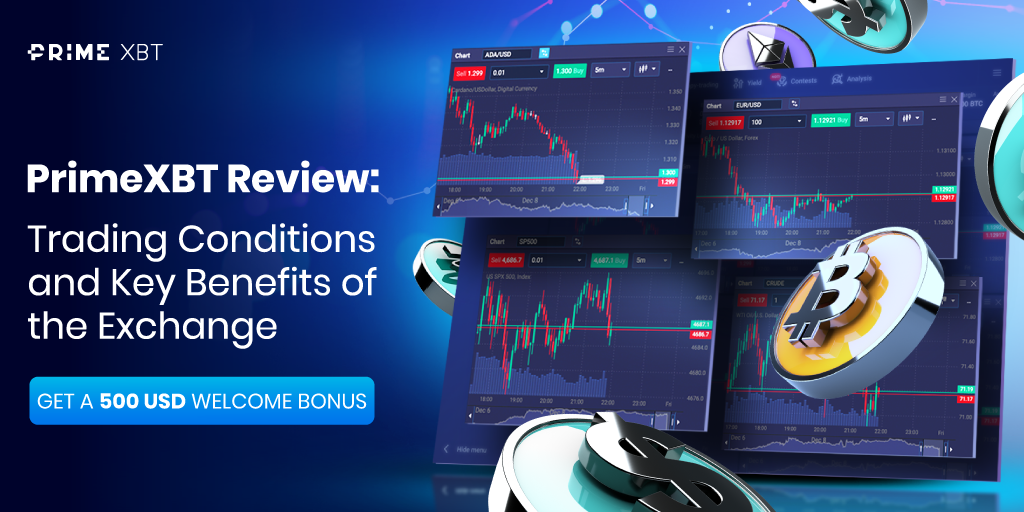 Exploring the PrimeXBT Info Hub Your Gateway to Successful Trading
