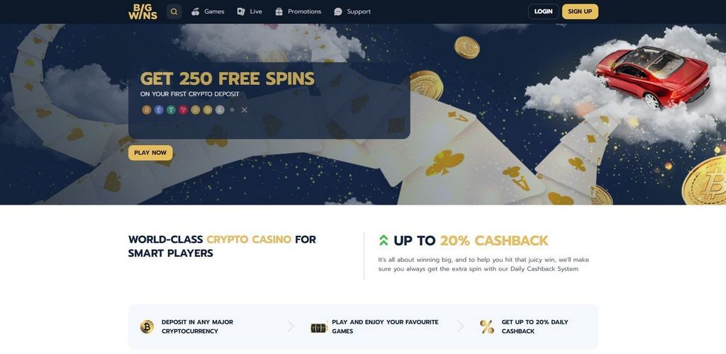 BigWins Casino Evaluation 2025 - Exclusive Perk & Gamings