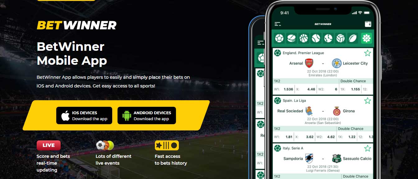 Tout Ce Que Vous Devez Savoir sur Betwinner Casino